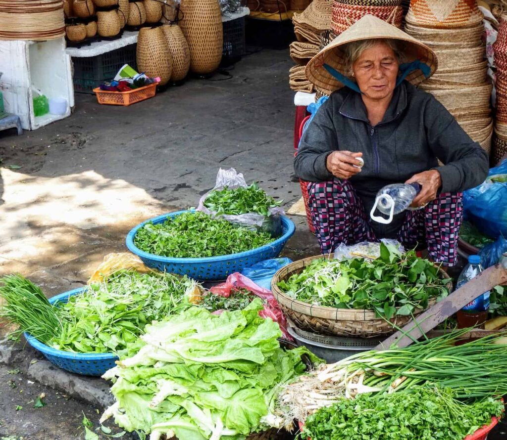 Hoi An Market with a lady wearing a conical hat