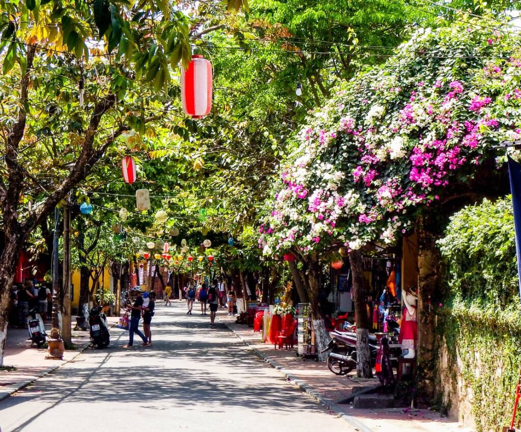 Tree lined street in Hoi An