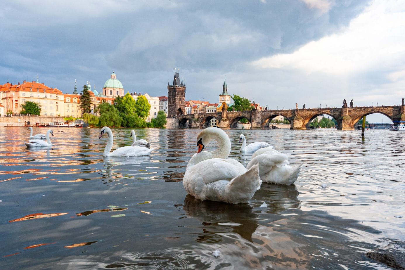 Top things to do in Prague - #prague #czechrepublic #czech #praha #castle #charlesbridge #oldtown #church #astronomicalclock #clock #whattosee #whattodo #travel #sightseeing #library #petrin #jewishquarter #stvitus #cruise