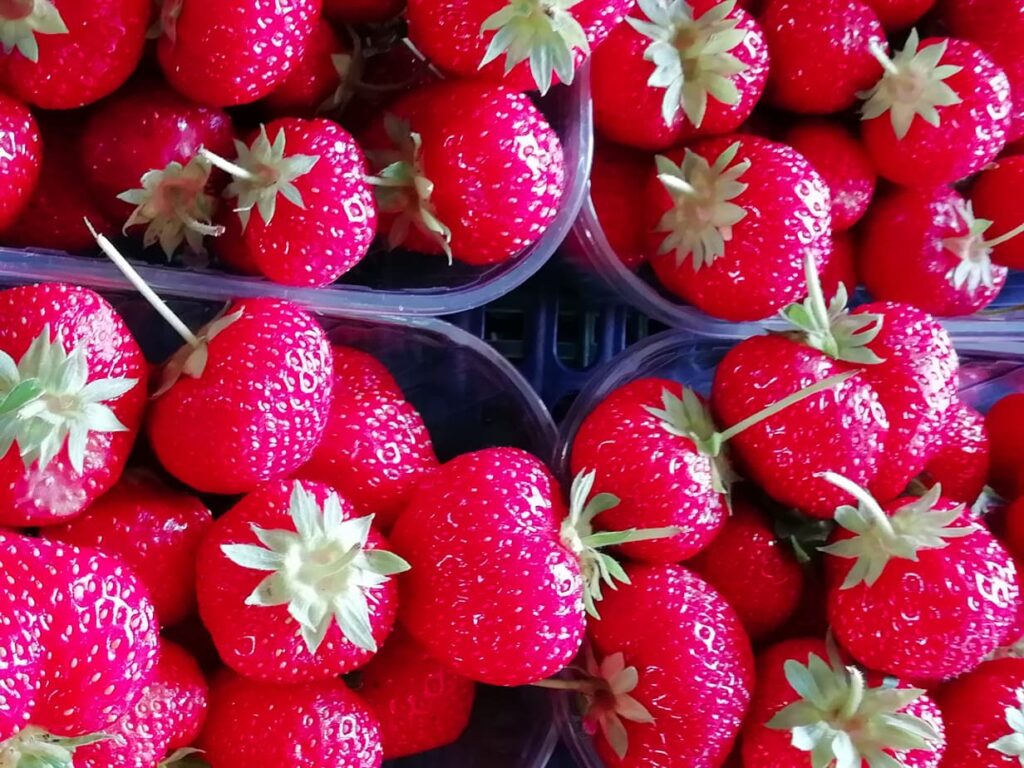 Cooking class in Florence - #florence #firenze #cookinglessons #cookingclass #gastrotravelogue #pasta #market #gnocchi #travel #italy #foodie #strawberries
