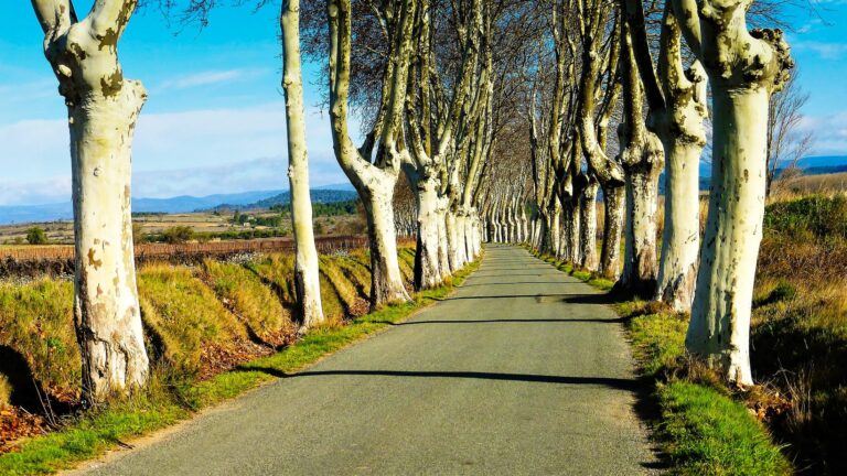 Renting a car in Europe - #europe #carhire #rentalcar #rentaltips #roadtrip #gastrotravelogue