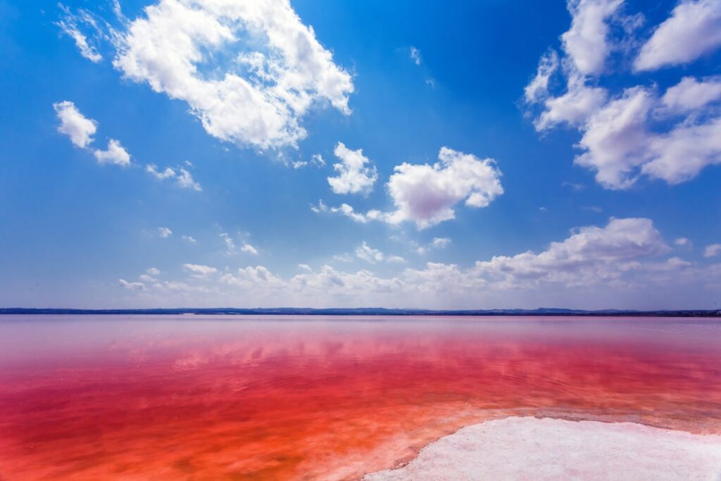 Las Salinas de Torrevieja Spain