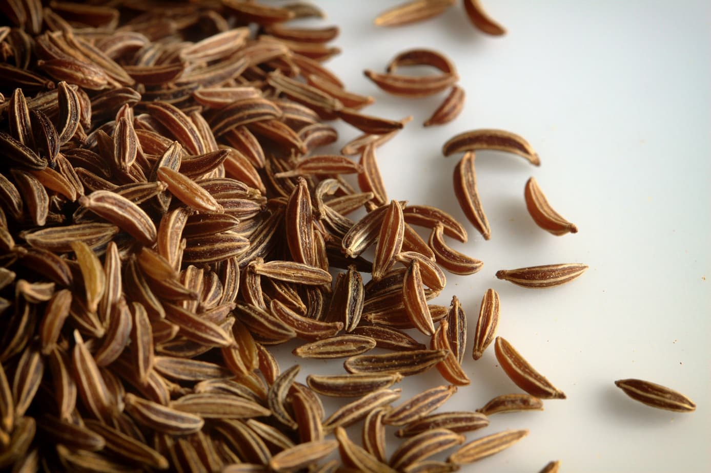 Middle Eastern Spices – Middle Eastern spice, Middle Eastern cuisine, food of the Middle East, #spice #spiceguide #gastrotravelogue #caraway