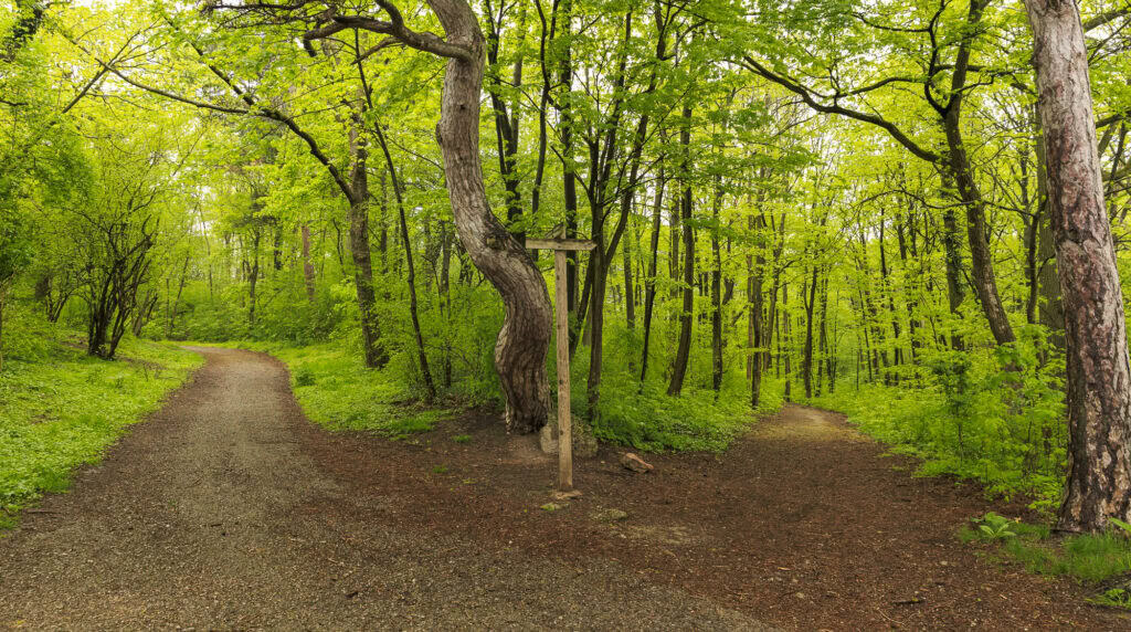Paths and signpost in the Vienna Woods