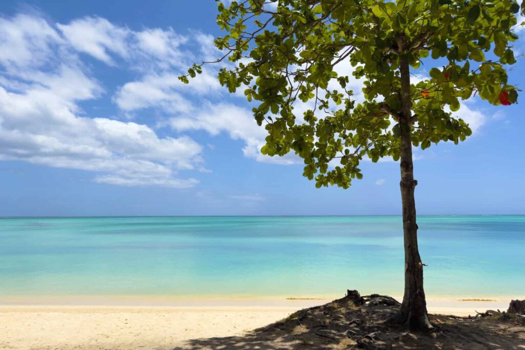 Mont Choisy Mauritius