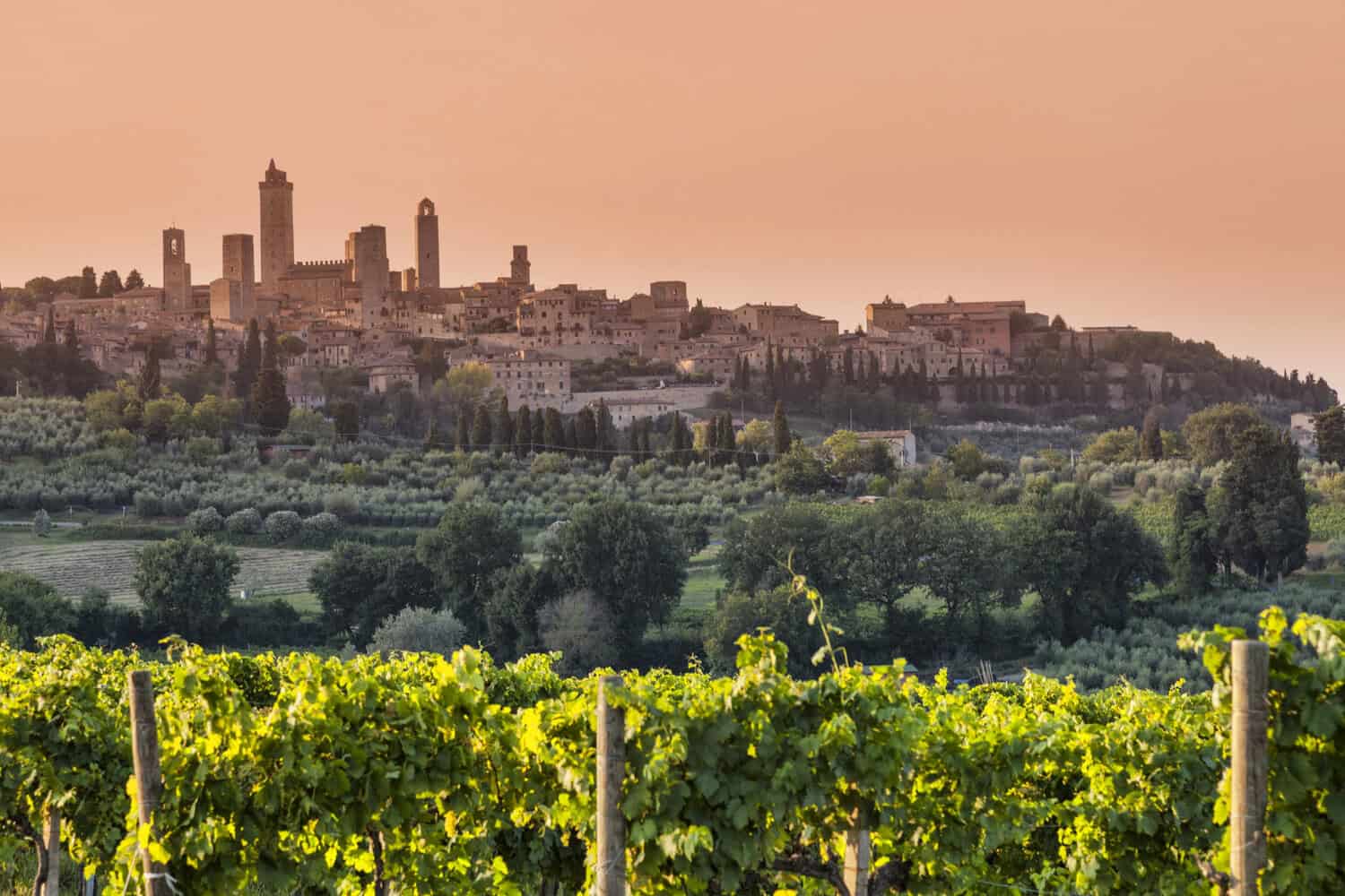 Medieval towers of San Gimignano glowing at sunset