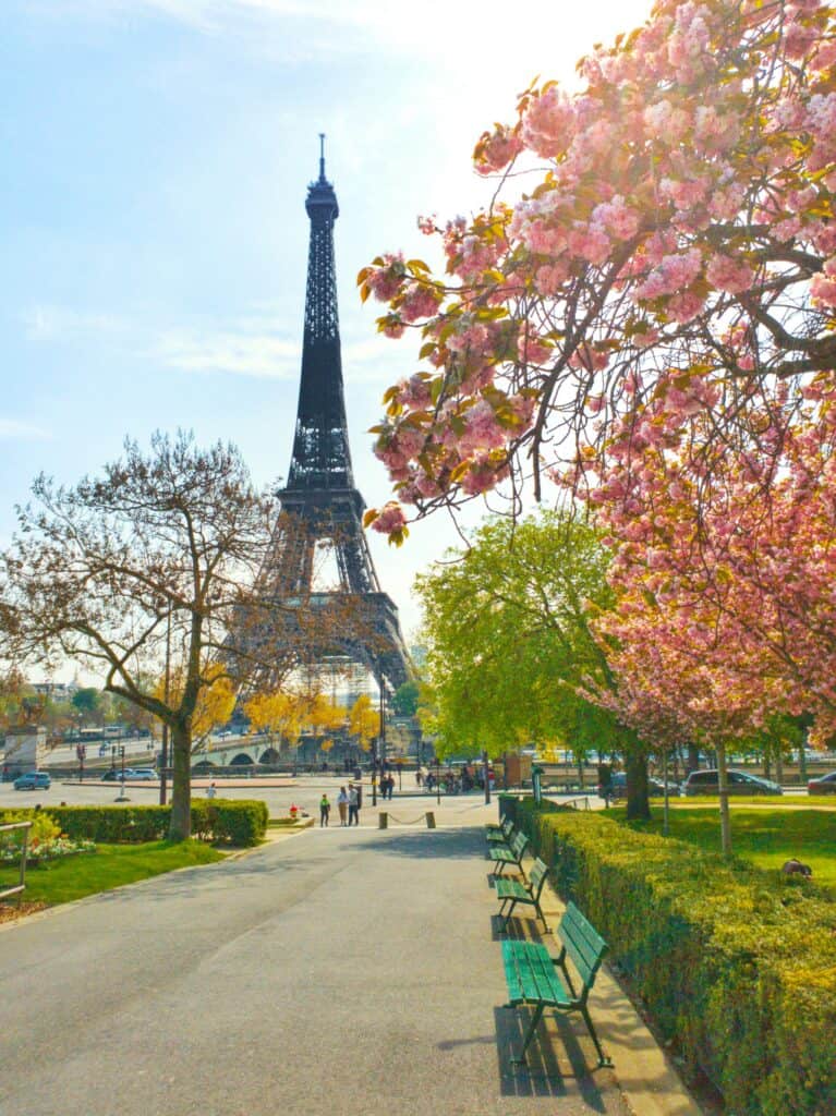 Eiffel Tower in Spring with blossoms
