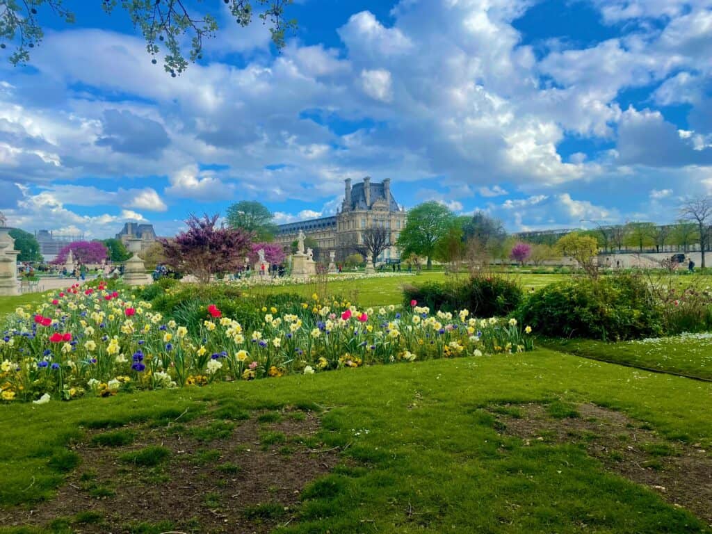Jardin des Tuileries flower beds in summer with the Louvre Palace in the background in Paris.